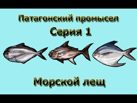 Русская Рыбалка 3.99 (Russian Fishing) Патагонский промысел 1 - Морской лещ