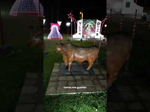 Así se vive la Navidad en Villa Oliva 🇵🇾🎄 #paraguay