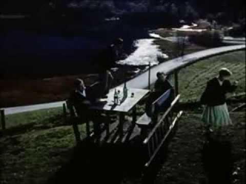 Die Blauen Jungs - Mandolinen-Serenade