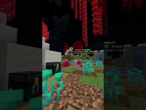 Ayont (Old) -  Minecraft Survival Server 1.19x |  Minecraft Network German (Java/Bedrock)