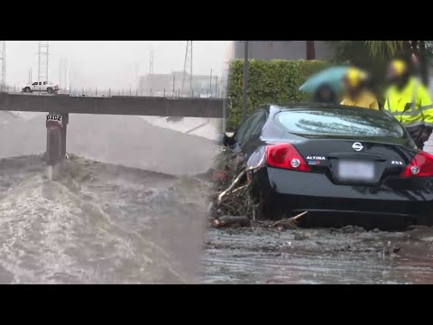 최근 대형 산불로 난리났던 미국 로스앤젤레스(LA) 근황
