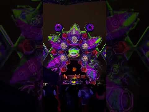 Bocarema dropping Unr track at Hipno Dreams