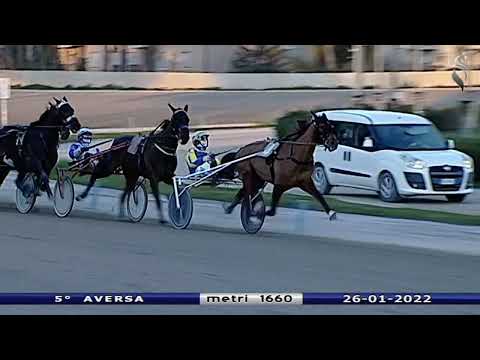 Aversa trotto 26 Gennaio 2022 - 5° Corsa