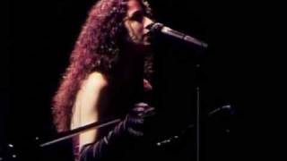 Negro Gato Marisa Monte