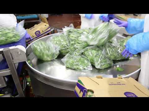 AndNowUKnow - Ippolito International BTG