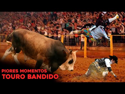 O DIA QUE O TOURO BANDIDO DECIDIU ACABAR COM OS PEÕES