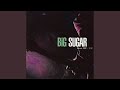 Leadbelly (Dub) - Big Sugar - Topic Leadbelly (Dub)
