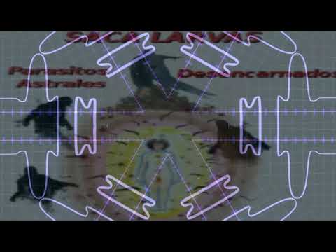 MUSIC ELIMINATES LARVAES AND ENERGY PARASITES, REVERSES THE BAD SPIRITS FROM YOUR ENVIRONMENT