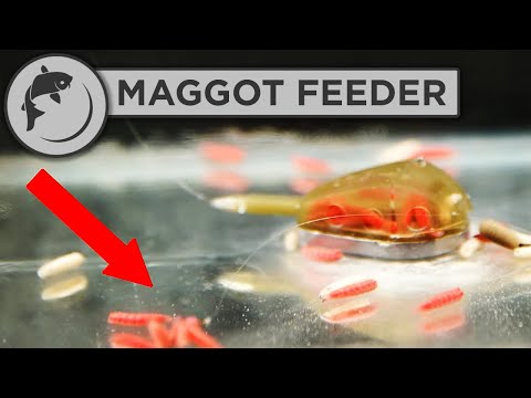 How To Tie A Maggot Feeder Rig For Tench Fishing