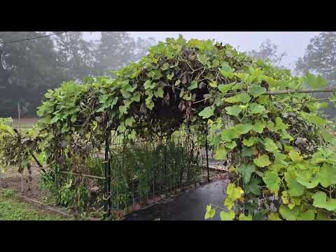 End of October Garden Tour 