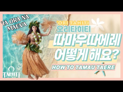 [오 타히티]‘Ori Tahiti TAMAU TAERE TRAINING ! How to TAMAU TAERE, 오리타히티의 따마우 따에레! 타히션댄스 따마우 따에레 하는 법