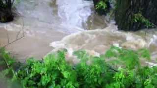 preview picture of video 'Inondation du 2 juin 2013 - Sortie Bockhorn vers Hecken'