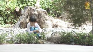 《幸福有家》 梦✿幻✿花✿园 (下)