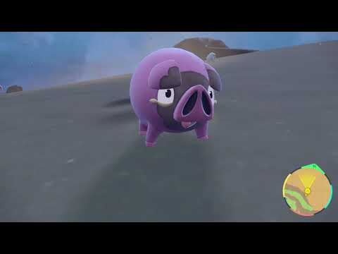 Il mio primo Shiny si Evolve :3