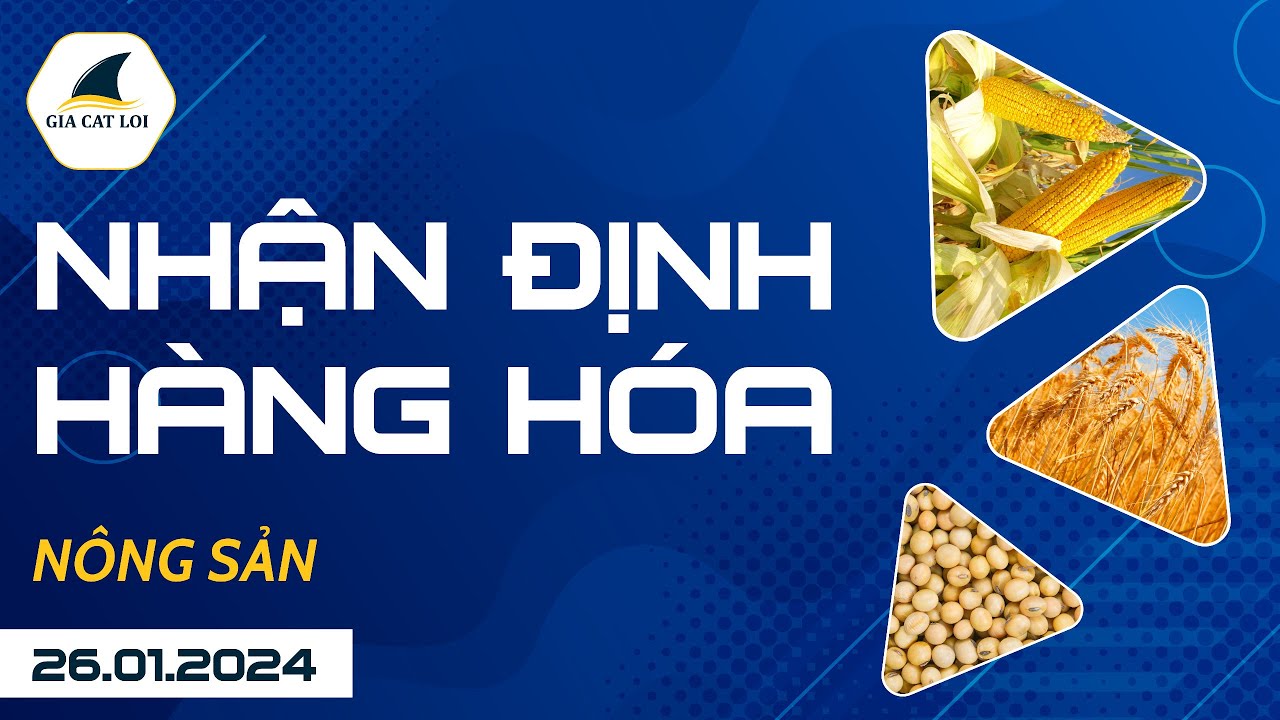 Nhận Định Hàng Hoá Nông Sản Ngày 26/01/2024