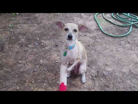 Sweet, sweet mommy, Lavender Diamond