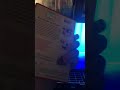 Opening To Elmo S World Birthdays Games And More 2002 DVD