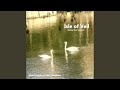Isle of Veil (Guitar Duo Version)