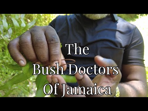 I Spent A Day With Jamaica's Hidden Bush Doctor