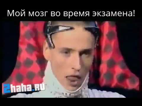Мой мозг во время экзамена!