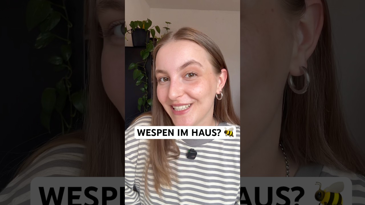 Warum Wespen jetzt schon ins Haus fliegen & Nester bauen. Und was du dagegen tun kannst. 🐝