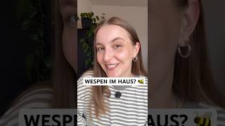 Warum Wespen jetzt schon ins Haus fliegen & Nester bauen. Und was du dagegen tun kannst. 🐝