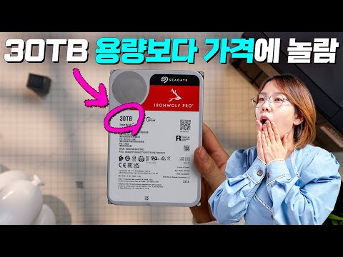 아이언울프 프로 30TB, 용량보다 저렴한 가격에 더 놀랐습니다