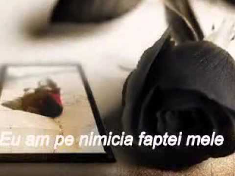 Daniel-Dumitru Darie - Confesiune