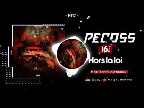(16).PECOSS - HORS LA LOI (BLACK EAGLE 2ème PARTIE)