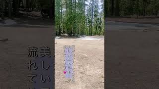 #レムリア テロスポータルにご案内しちゃいます🩷