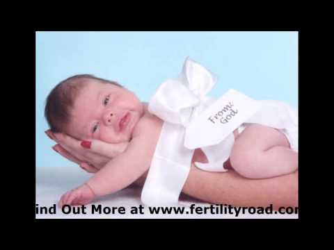 Blastocyst Transfer - More Information at Fertility Road Magazine Blastocyst Transfer