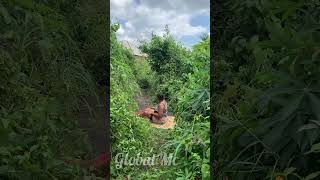 You won’t believe what my girlfriend’s sister did to me ❤️🌹🌹#2025 #trending #comedy #video