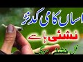 Asan Kami Kadan Nashe Hasy By Ahimad Nawaz Cheena Letast Sariki Panjabi Song 2021