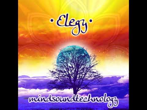 03 Elegy - The Panopticon