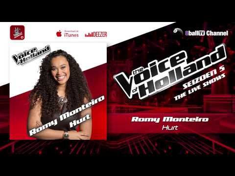 Romy Monteiro - Hurt (The voice of Holland: Liveshow 2014)