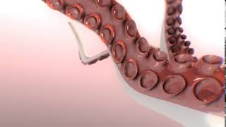 The TENTACLE clip!