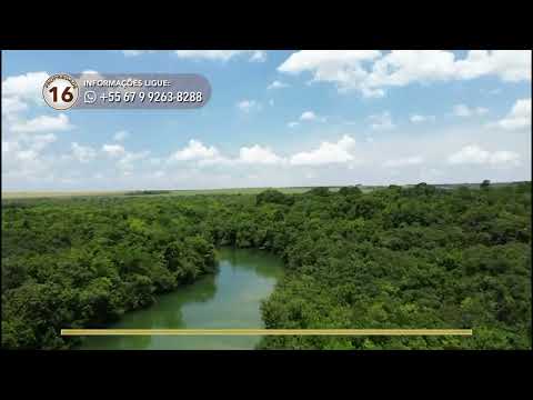 Terralmo 16: Fazenda à venda em Serranópolis/GO
