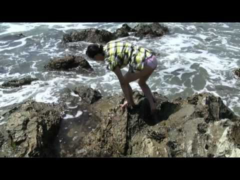 A Day at the Beach - Palos Verdes Peninsula (2010-03-29)