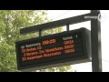 Agressieve zwaan heeft het voorzien op busreiziger