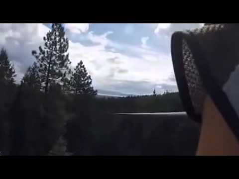 Zip from tree to tree at new Crater Lake Zipline