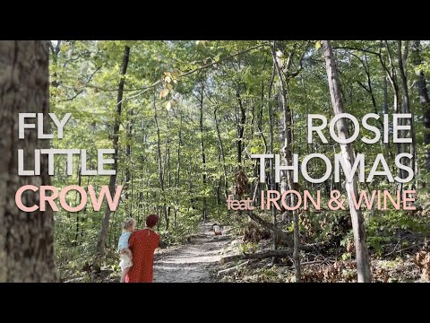 Fly Little Crow - Rosie Thomas