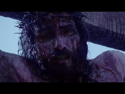 70veces7 ALGUIEN PAGÓ LA CUENTA