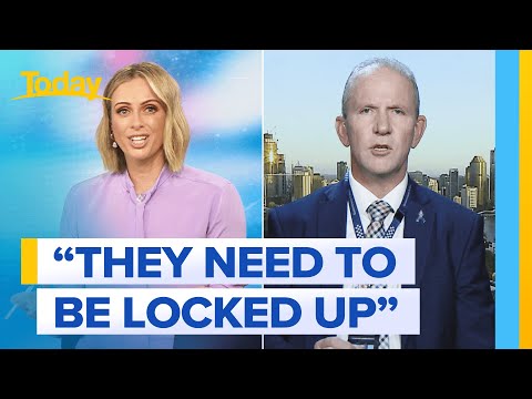 Queensland’s top cop defends state’s controversial youth crime reform | Today Show Australia