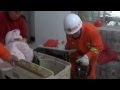 Girl 3 Gets Stuck In Washing Machine