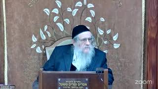 הרה"ג הרב וועכטר שליט"א ט"ו שבט תשפ"ה - מאמר הרבי הריי"צ הת"ש ד"ה בלילה ההוא נדדה שנת המלך חלק ב (הרב אברהם מנחם מענדל וכטר) - התמונה מוצגת ישירות מתוך אתר האינטרנט יוטיוב. זכויות היוצרים בתמונה שייכות ליוצרה. קישור קרדיט למקור התוכן נמצא בתוך דף הסרטון