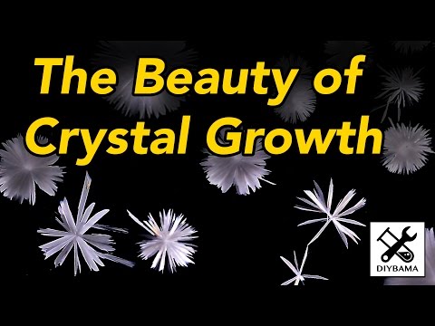 The Beauty of Crystal Growth (Crystallisation of Sodium Acetate)