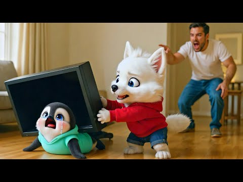 Misunderstood Husky Rescue the Penguin after Falling tv on Him #huskymo #penguin #pingo