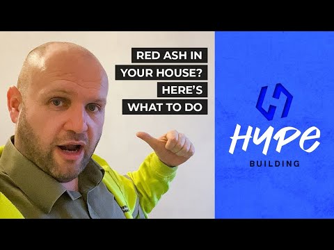 Red Ash in Your House? Here's What To Do