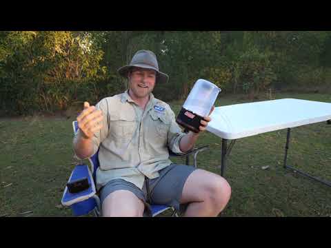 BCF - Coleman 360 light and sound lantern