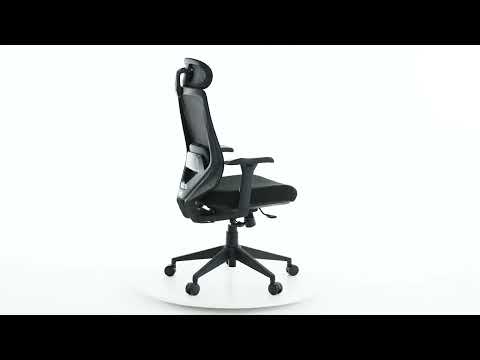 Миниатюра изображения товара Кресло офисное Evolution HybridFlex (черный)